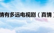 真情有多远电视剧（真情）