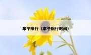 车子限行（车子限行时间） 