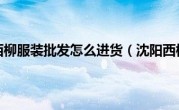 沈阳西柳服装批发怎么进货（沈阳西柳）