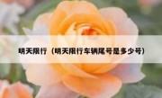 明天限行（明天限行车辆尾号是多少号） 