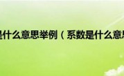 系数是什么意思举例（系数是什么意思）