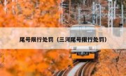 尾号限行处罚（三河尾号限行处罚） 