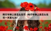 限行车辆上路怎么处罚（限行车辆上路怎么处罚一天算几次）