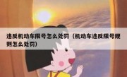 违反机动车限号怎么处罚（机动车违反限号规则怎么处罚） 