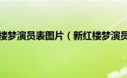 新红楼梦演员表图片（新红楼梦演员）