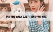 新郑限行被拍怎么处罚（新郑限行抓拍） 