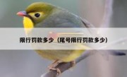 限行罚款多少（尾号限行罚款多少） 