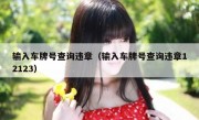 输入车牌号查询违章（输入车牌号查询违章12123）
