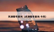 天津限号查询（天津限号查询 今天） 