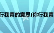 你行我素的意思(你行我素)