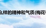 梅花有什么样的精神和气质(梅花有什么样的品质)