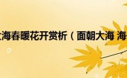 面朝大海春暖花开赏析（面朝大海 海子）