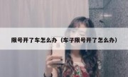 限号开了车怎么办（车子限号开了怎么办）