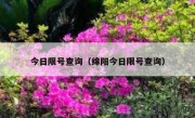 今日限号查询（绵阳今日限号查询） - 高通咨询