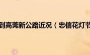 忠信到高莞新公路近况（忠信花灯节）