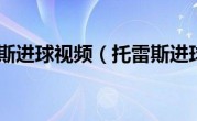 托雷斯进球视频（托雷斯进球）