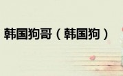 韩国狗哥（韩国狗）