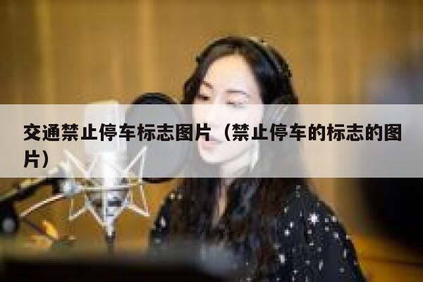 交通禁止停车标志图片（禁止停车的标志的图片） 第1张
