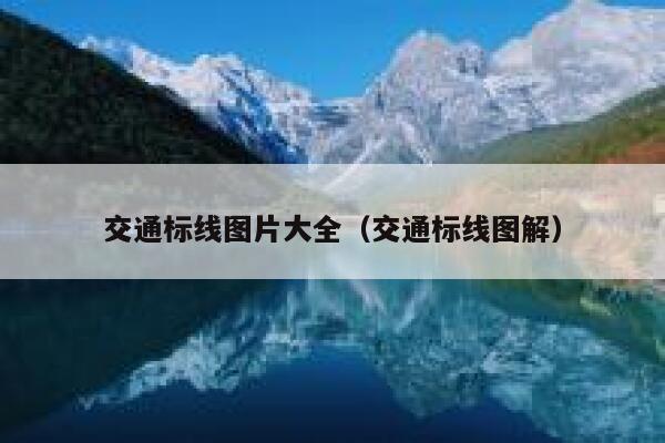 交通标线图片大全（交通标线图解） 第1张