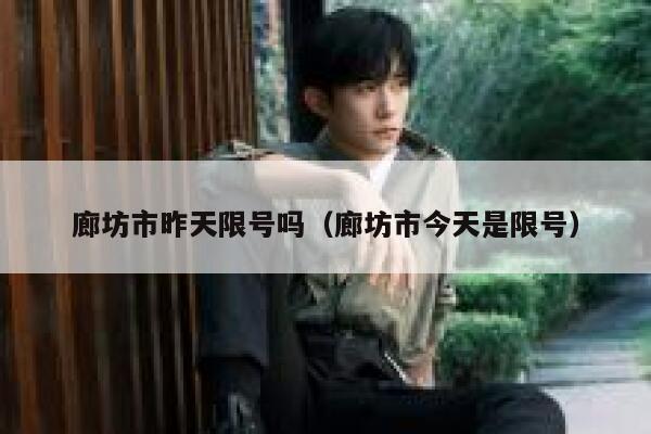 廊坊市昨天限号吗（廊坊市今天是限号） 第1张