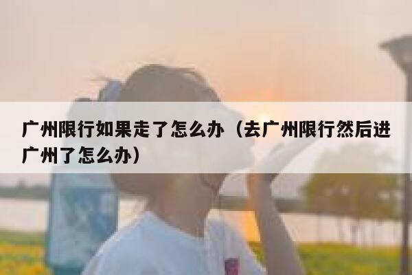 广州限行如果走了怎么办（去广州限行然后进广州了怎么办） 第1张