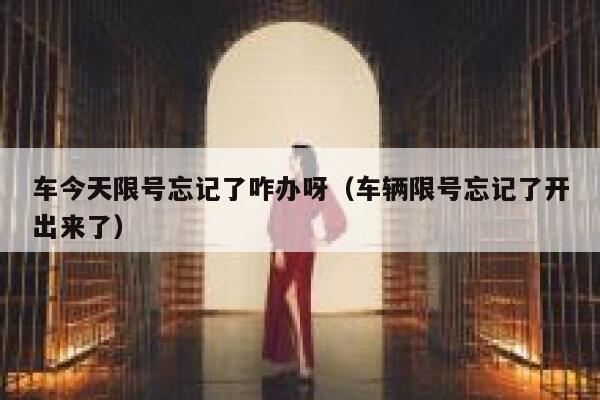 车今天限号忘记了咋办呀（车辆限号忘记了开出来了） 第1张
