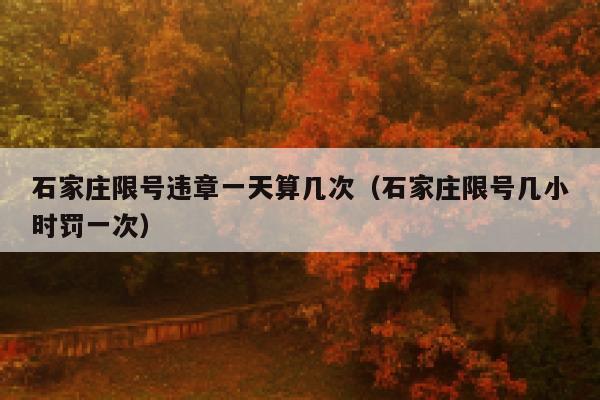 石家庄限号违章一天算几次（石家庄限号几小时罚一次） 第1张