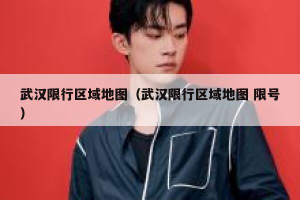 武汉限行区域地图（武汉限行区域地图 限号） 第1张