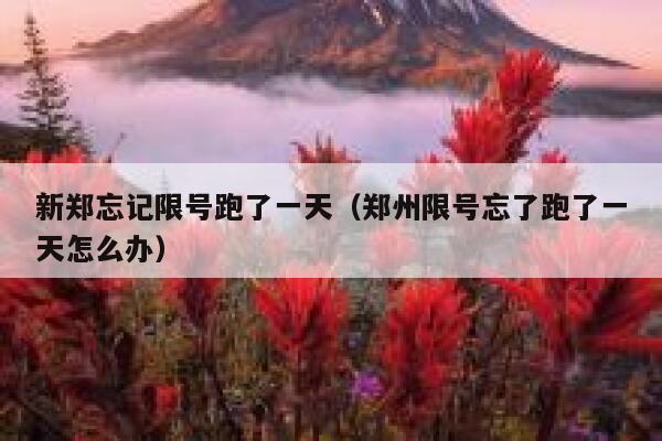 新郑忘记限号跑了一天（郑州限号忘了跑了一天怎么办） 第1张
