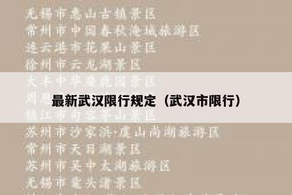 最新武汉限行规定（武汉市限行） 第1张