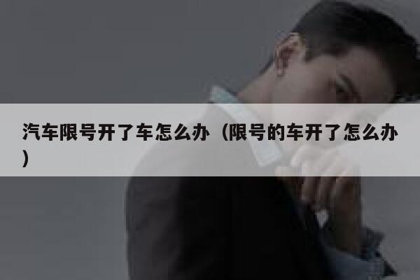 汽车限号开了车怎么办（限号的车开了怎么办） 第1张