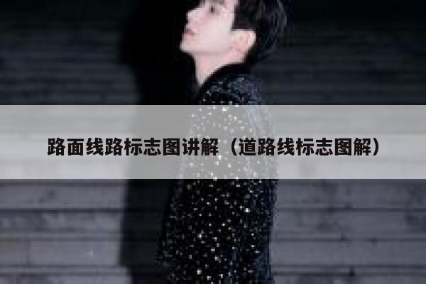 路面线路标志图讲解（道路线标志图解） 第1张