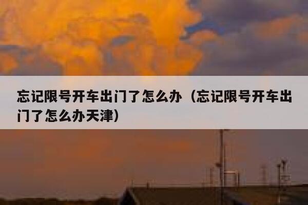 忘记限号开车出门了怎么办（忘记限号开车出门了怎么办天津） 第1张