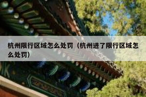杭州限行区域怎么处罚（杭州进了限行区域怎么处罚） 第1张