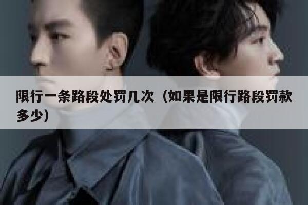 限行一条路段处罚几次（如果是限行路段罚款多少） 第1张