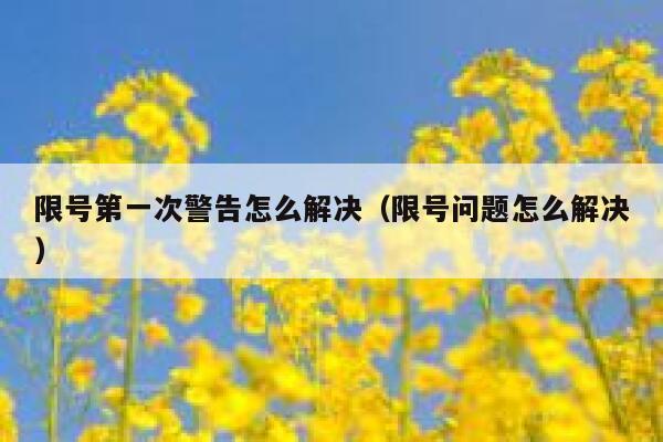 限号第一次警告怎么解决（限号问题怎么解决） 第1张