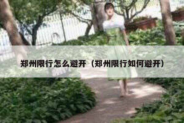 郑州限行怎么避开（郑州限行如何避开） 第1张