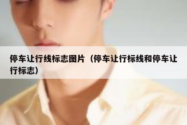 停车让行线标志图片（停车让行标线和停车让行标志） 第1张