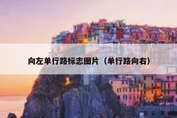 向左单行路标志图片（单行路向右） 第1张