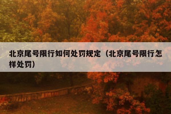 北京尾号限行如何处罚规定（北京尾号限行怎样处罚） 第1张