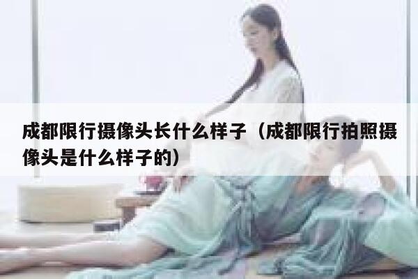 成都限行摄像头长什么样子（成都限行拍照摄像头是什么样子的） 第1张