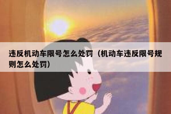 违反机动车限号怎么处罚（机动车违反限号规则怎么处罚） 第1张