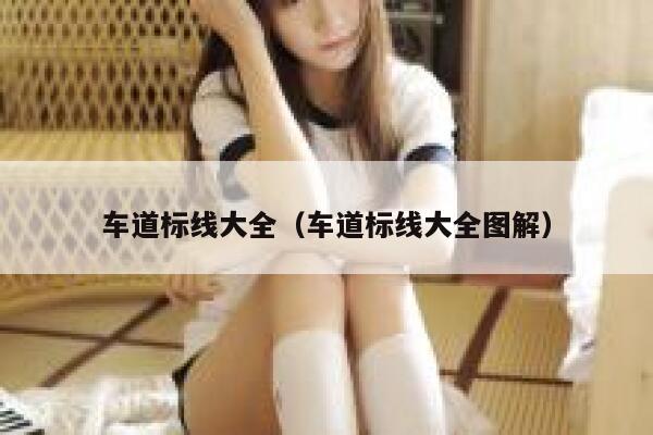 车道标线大全（车道标线大全图解） 第1张
