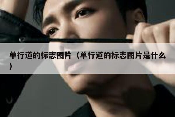 单行道的标志图片（单行道的标志图片是什么） 第1张