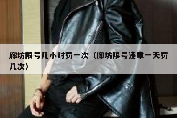 廊坊限号几小时罚一次（廊坊限号违章一天罚几次） 第1张