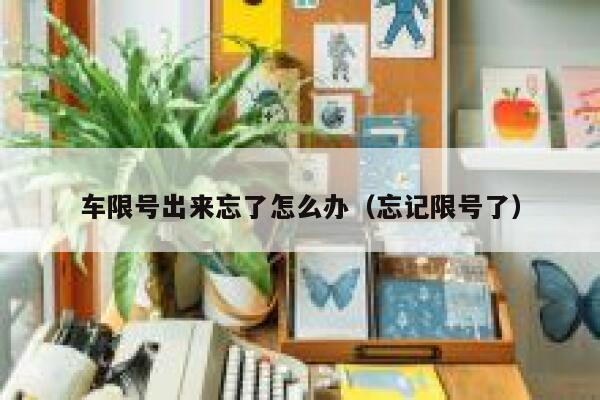 车限号出来忘了怎么办（忘记限号了） 第1张