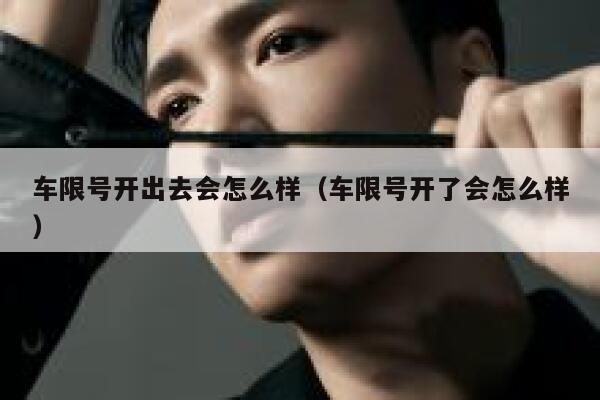 车限号开出去会怎么样（车限号开了会怎么样） 第1张