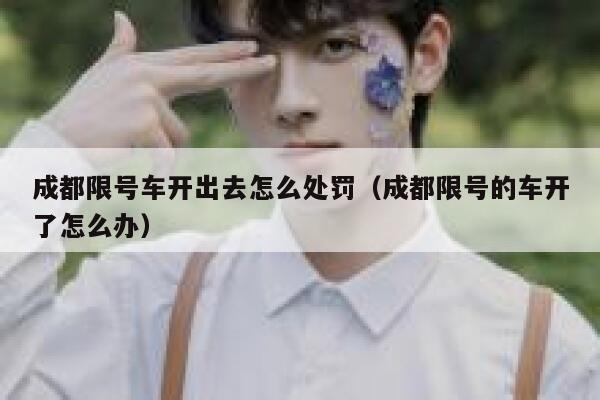 成都限号车开出去怎么处罚（成都限号的车开了怎么办） 第1张