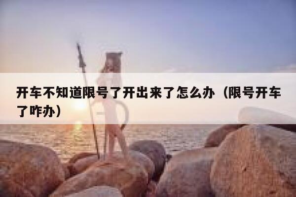 开车不知道限号了开出来了怎么办（限号开车了咋办） 第1张