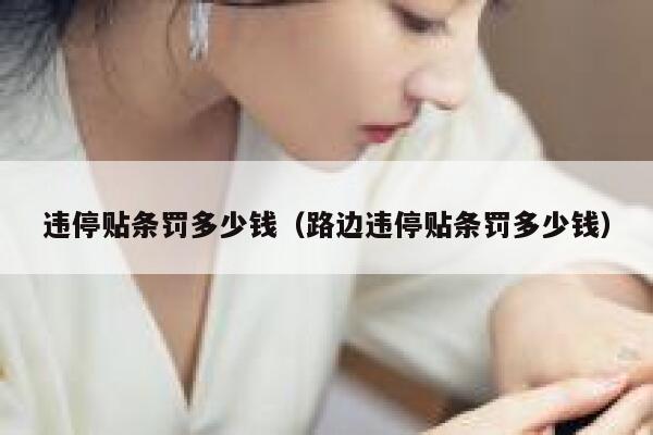 违停贴条罚多少钱（路边违停贴条罚多少钱） 第1张